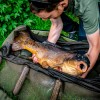 Компактная сумка для взвешивания Korum Compact Recovery Sling