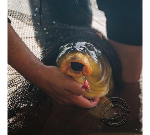 Готовые поводки FOX Carp Ready Rigs - Fluoro D-Rig (x3)