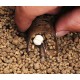 Кормушка DRENNAN PELLET FEEDER Medium 35gr