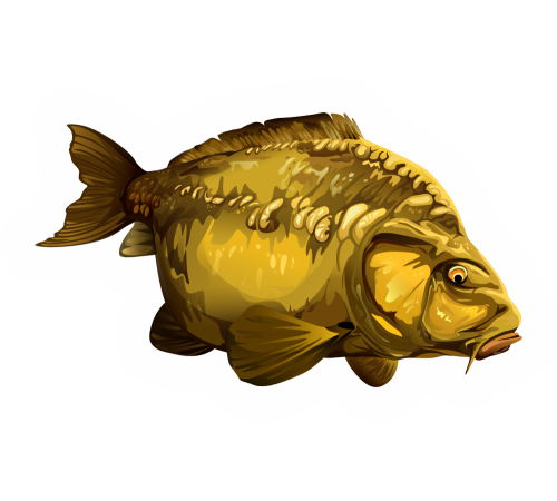 Наклейка Big Carp