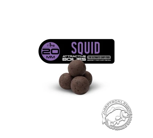 Бойлы тонущие FFEM Ajika Boilies Squid 20mm Кальмар