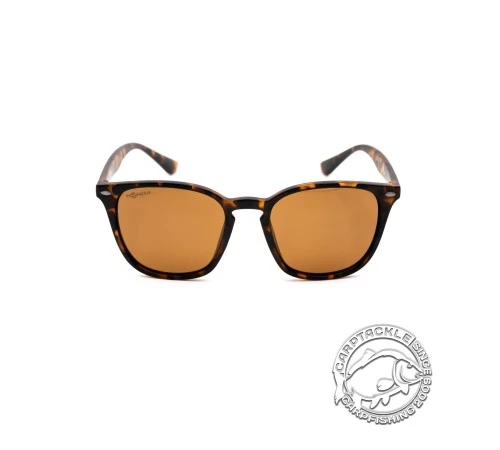 Очки KORDA Shoreditch - Matt Tortoise Shell/ Brown Lens