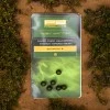 Бусина с конусным отверстием PB Products Naked Chod/Helicopter System Tapered Bead