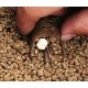 Кормушка DRENNAN PELLET FEEDER Medium 35gr
