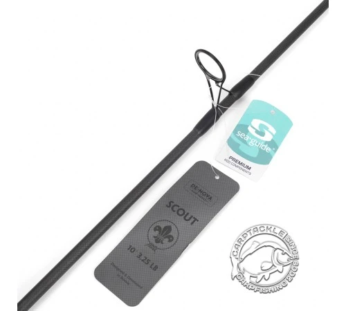 Карповое удилище De-Nova Scout 10 ft 3,25 lb EVA Handle