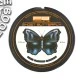Флюорокарбоновый поводковый материал PB Products Ghost Butterly